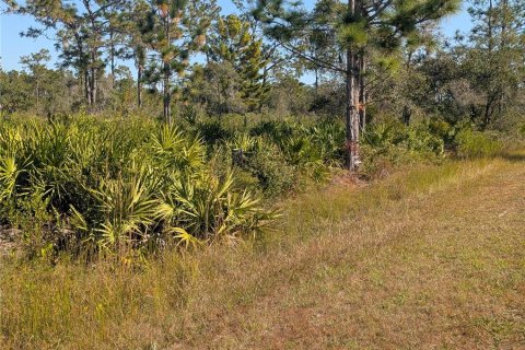 Land in Indian lake estates, Florida № 2159932 - photo 11