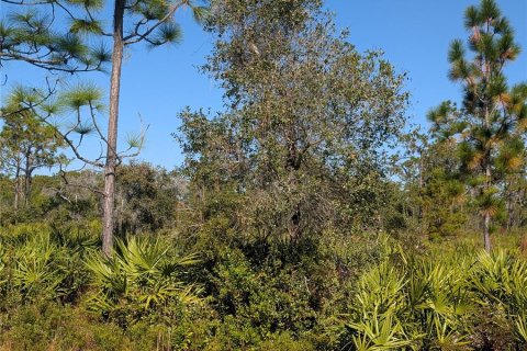 Land in Indian lake estates, Florida № 2159932 - photo 8