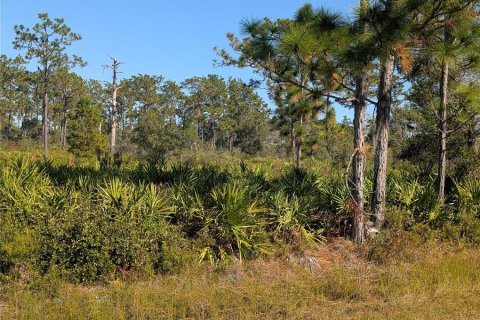 Land in Indian lake estates, Florida № 2159932 - photo 5