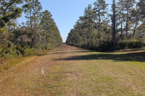Land in Indian lake estates, Florida № 2159932 - photo 9