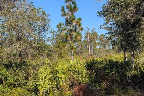 Land in Indian lake estates, Florida № 2159932 - photo 7