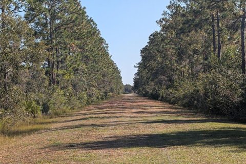 Land in Indian lake estates, Florida № 2159932 - photo 10