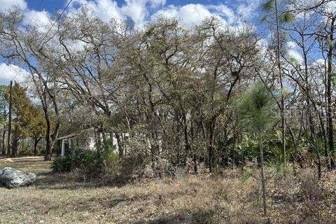 Land in Weeki Wachee, Florida № 1732518 - photo 3