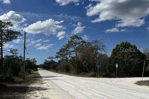 Land in Weeki Wachee, Florida № 1732518 - photo 4