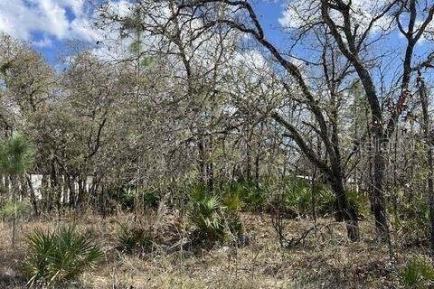 Land in Weeki Wachee, Florida № 1732518 - photo 5