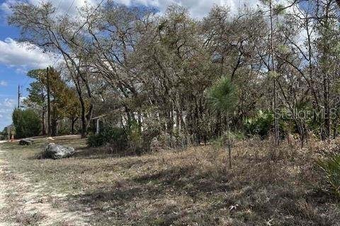 Land in Weeki Wachee, Florida № 1732518 - photo 1