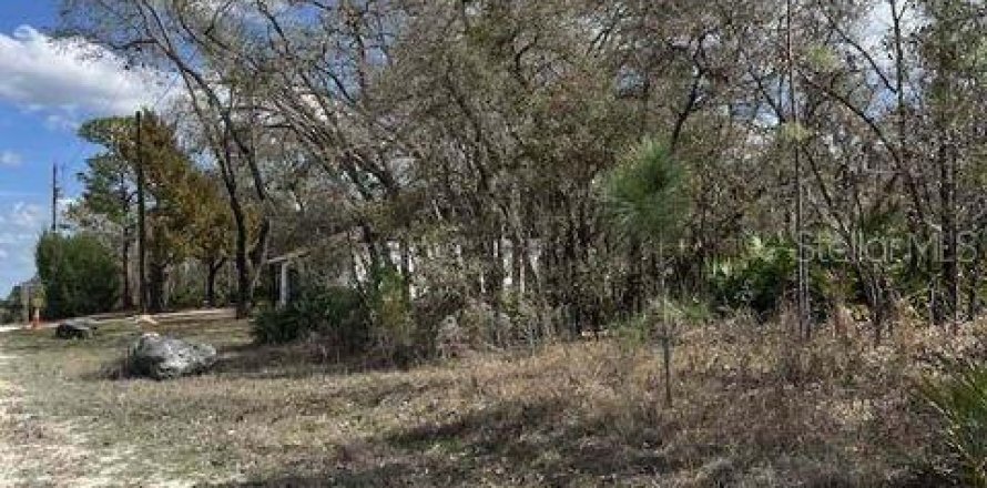 Land in Weeki Wachee, Florida № 1732518