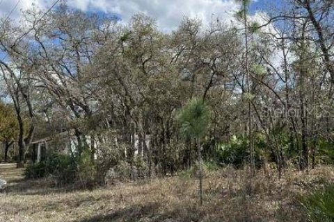 Land in Weeki Wachee, Florida № 1732518 - photo 2