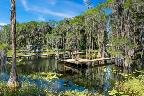 Villa ou maison à vendre à Melrose, Floride: 3 chambres, 195.09 m2 № 1242862 - photo 6