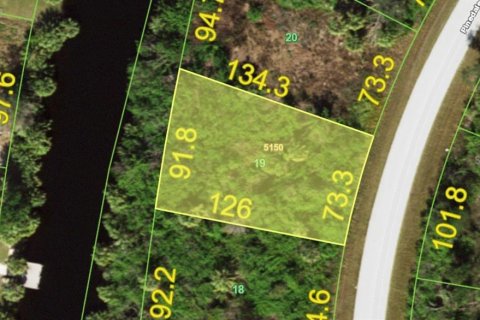 Land in Port Charlotte, Florida № 2160419 - photo 2