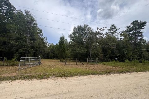 Terrain à vendre à Williston, Floride № 2378297 - photo 3