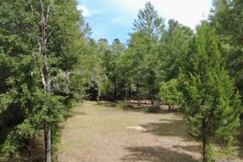 Terrain à vendre à Williston, Floride № 2378297 - photo 4