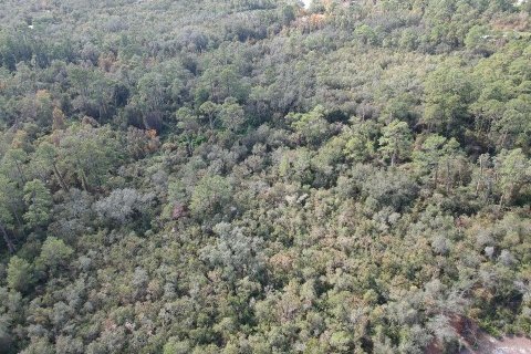 Terreno en venta en Deltona, Florida № 1562213 - foto 5