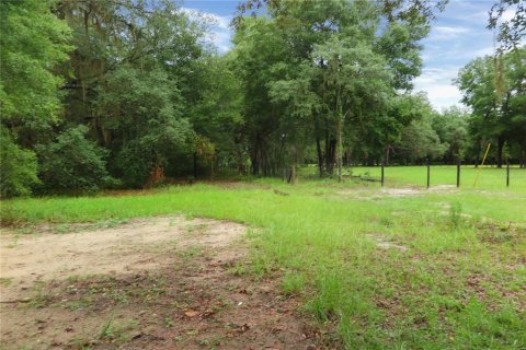 Casa en venta en Hawthorne, Florida, 3 dormitorios, 133.78 m2 № 2199194 - foto 8