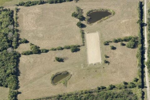 Land in Mims, Florida № 2385967 - photo 3