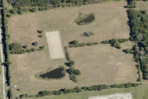 Land in Mims, Florida № 2385967 - photo 5