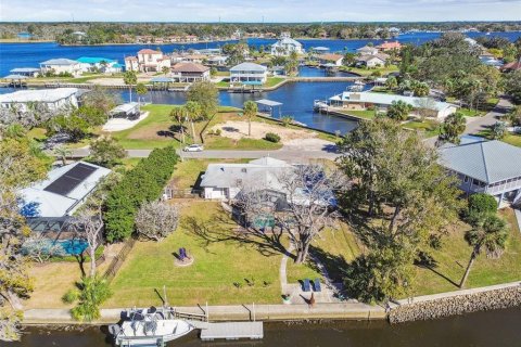 Land in Crystal River, Florida № 1517580 - photo 6