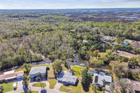 Land in Crystal River, Florida № 1517580 - photo 14