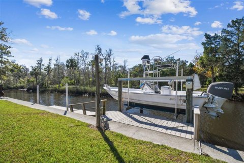 Land in Crystal River, Florida № 1517580 - photo 21