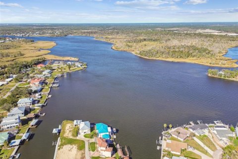Land in Crystal River, Florida № 1517580 - photo 11