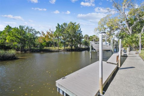 Land in Crystal River, Florida № 1517580 - photo 23