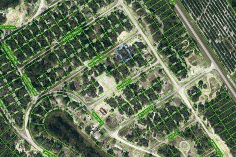 Land in Lake Placid, Florida № 2224033