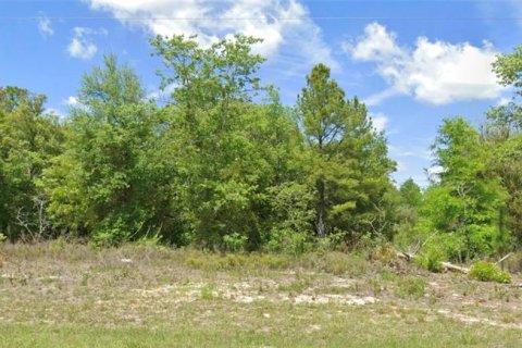 Land in Citrus Springs, Florida № 2383488