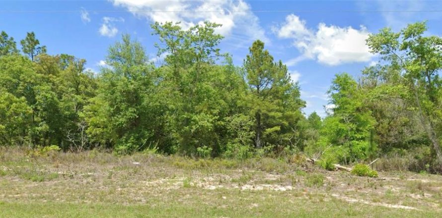 Land in Citrus Springs, Florida № 2383488