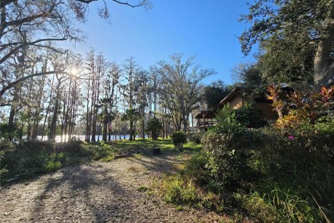 Land in Odessa, Florida № 1827674 - photo 7