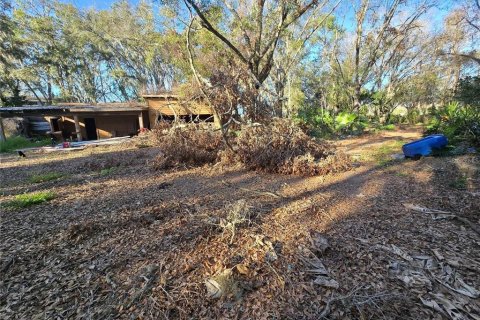 Land in Odessa, Florida № 1827674 - photo 6
