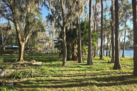 Land in Odessa, Florida № 1827674 - photo 2