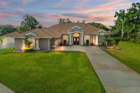 House in Lutz, Florida 4 bedrooms, 247.21 sq.m. № 1784968 - photo 1