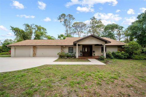 House in Odessa, Florida 4 bedrooms, 301 sq.m. № 1746890 - photo 3