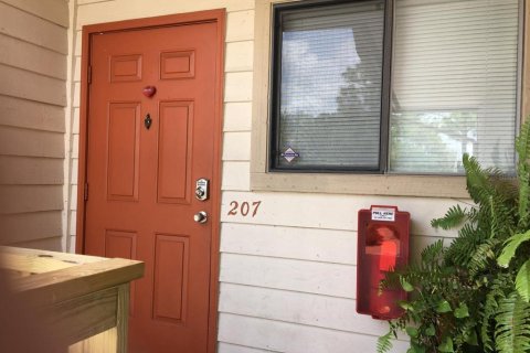 Studio in the Condo in Largo, Florida № 2353220