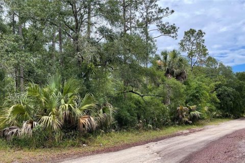 Land in Silver Springs Shores, Florida № 1246597 - photo 4