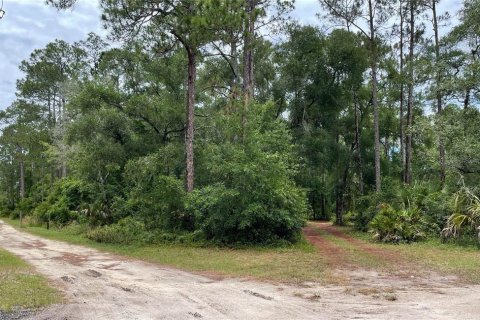 Land in Silver Springs Shores, Florida № 1246597 - photo 3