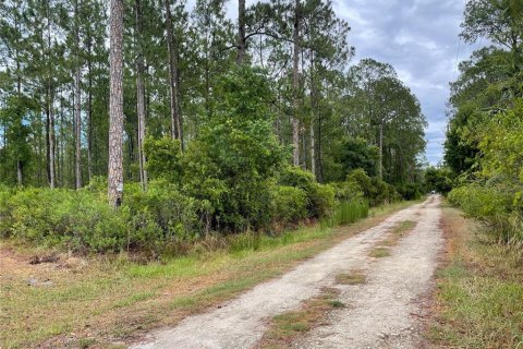 Land in Silver Springs Shores, Florida № 1246597 - photo 8