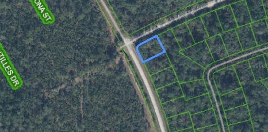 Terreno en Sebring, Florida № 2211811