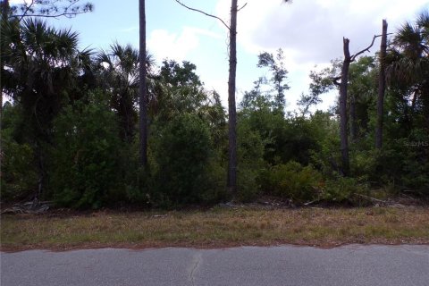 Land in Port Charlotte, Florida № 2163704 - photo 4