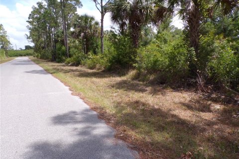 Land in Port Charlotte, Florida № 2163704 - photo 8