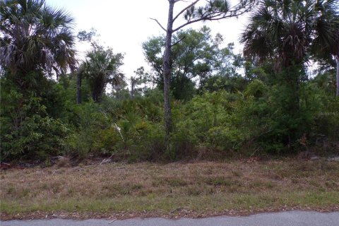 Land in Port Charlotte, Florida № 2163704