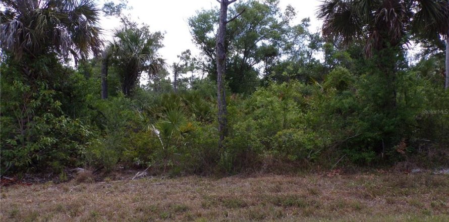Land in Port Charlotte, Florida № 2163704