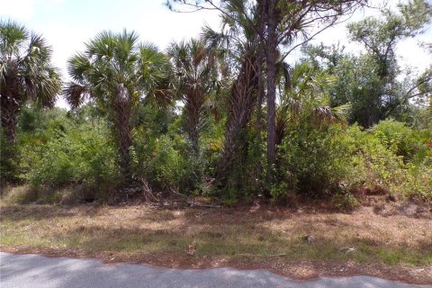 Land in Port Charlotte, Florida № 2163704 - photo 7