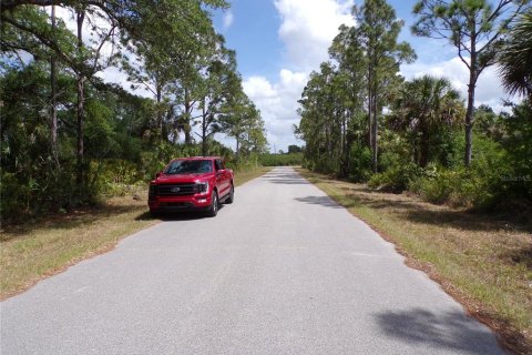 Land in Port Charlotte, Florida № 2163704 - photo 9