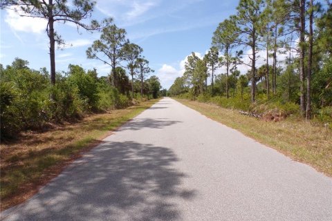 Land in Port Charlotte, Florida № 2163704 - photo 1