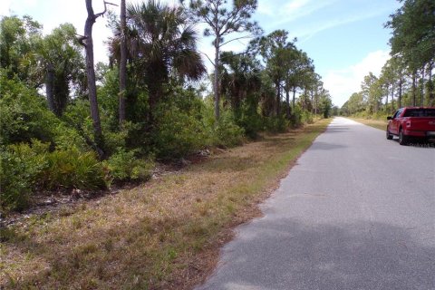 Land in Port Charlotte, Florida № 2163704 - photo 5