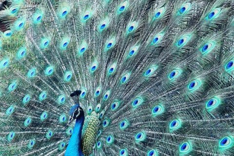 House in Miami, Florida 3 bedrooms, 165.55 sq.m. № 2022002 - photo 17