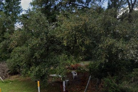 Terreno en venta en Zephyrhills, Florida № 1886748 - foto 1