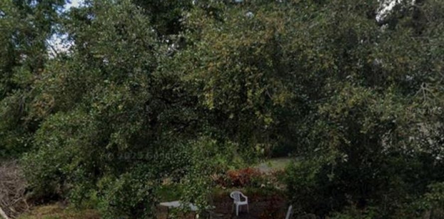 Terreno en Zephyrhills, Florida № 1886748