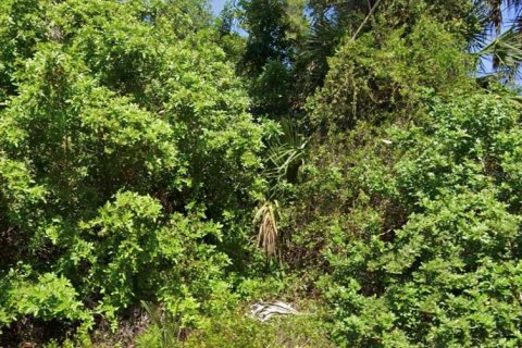 Land in North Port, Florida № 2159861
